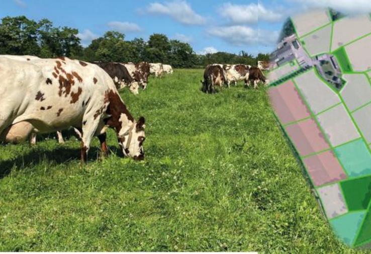découvrez nos solutions expertes en rénovation agricole pour moderniser vos installations, améliorer vos performances et optimiser votre exploitation.