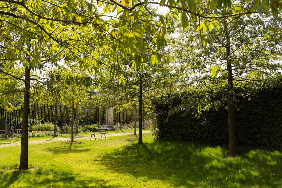 découvrez la réouverture du square marie-curie à austerlitz, un espace vert réaménagé pour vos promenades et moments de détente en plein cœur de la ville.
